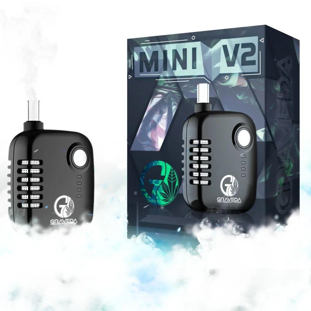 MINI V2